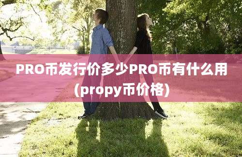 PRO币发行价多少PRO币有什么用(propy币价格)