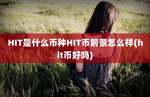 HIT是什么币种HIT币前景怎么样(hit币好吗)