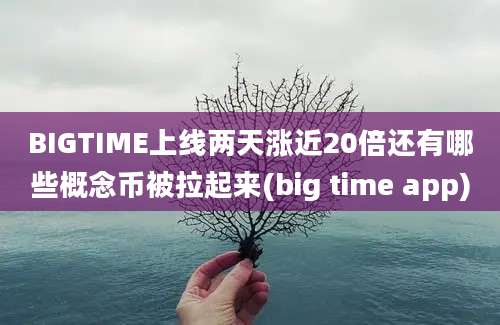 BIGTIME上线两天涨近20倍还有哪些概念币被拉起来(big time app)