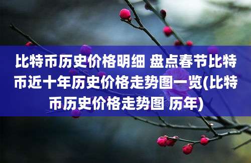 比特币历史价格明细 盘点春节比特币近十年历史价格走势图一览(比特币历史价格走势图 历年)