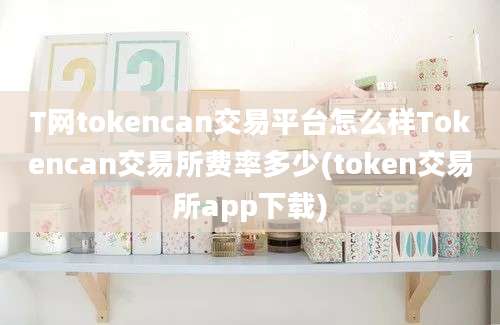 T网tokencan交易平台怎么样Tokencan交易所费率多少(token交易所app下载)