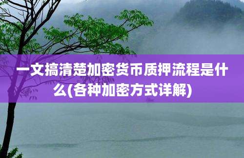 一文搞清楚加密货币质押流程是什么(各种加密方式详解)