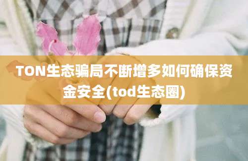 TON生态骗局不断增多如何确保资金安全(tod生态圈)