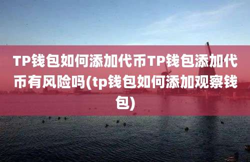 TP钱包如何添加代币TP钱包添加代币有风险吗(tp钱包如何添加观察钱包)