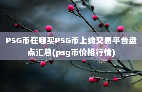 PSG币在哪买PSG币上线交易平台盘点汇总(psg币价格行情)