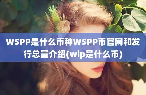 WSPP是什么币种WSPP币官网和发行总量介绍(wip是什么币)