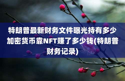 特朗普最新财务文件曝光持有多少加密货币靠NFT赚了多少钱(特朗普财务记录)