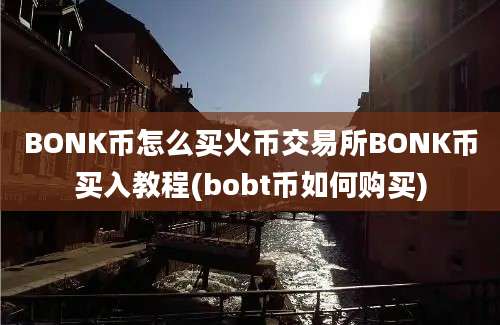 BONK币怎么买火币交易所BONK币买入教程(bobt币如何购买)