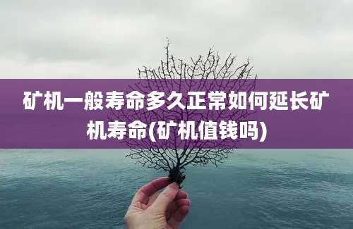 矿机一般寿命多久正常如何延长矿机寿命(矿机值钱吗)