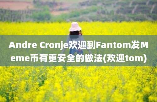 Andre Cronje欢迎到Fantom发Meme币有更安全的做法(欢迎tom)