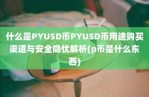 什么是PYUSD币PYUSD币用途购买渠道与安全隐忧解析(p币是什么东西)