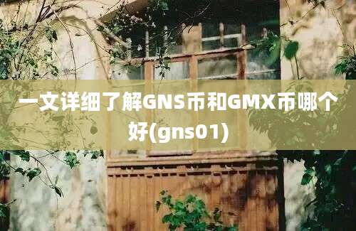 一文详细了解GNS币和GMX币哪个好(gns01)