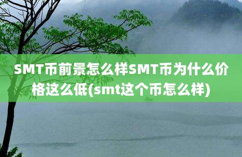 SMT币前景怎么样SMT币为什么价格这么低(smt这个币怎么样)