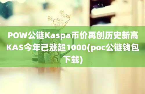 POW公链Kaspa币价再创历史新高KAS今年已涨超1000(poc公链钱包下载)