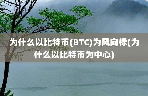 为什么以比特币(BTC)为风向标(为什么以比特币为中心)