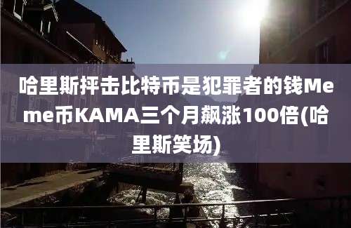 哈里斯抨击比特币是犯罪者的钱Meme币KAMA三个月飙涨100倍(哈里斯笑场)