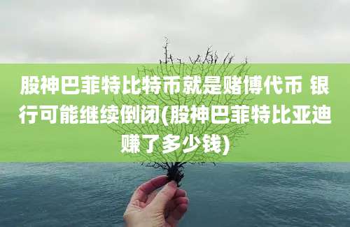 股神巴菲特比特币就是赌博代币 银行可能继续倒闭(股神巴菲特比亚迪赚了多少钱)