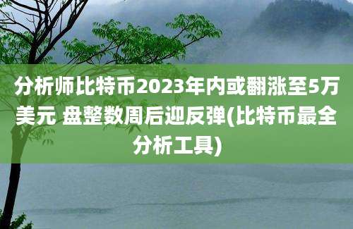 分析师比特币2023年内或翻涨至5万美元 盘整数周后迎反弹(比特币最全分析工具)