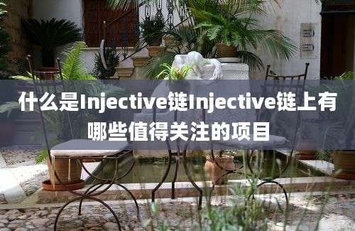 什么是Injective链Injective链上有哪些值得关注的项目