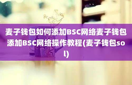 麦子钱包如何添加BSC网络麦子钱包添加BSC网络操作教程(麦子钱包sol)