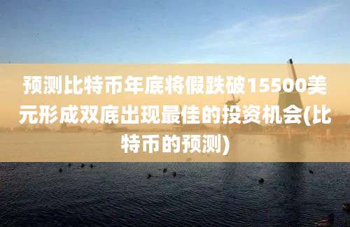 预测比特币年底将假跌破15500美元形成双底出现最佳的投资机会(比特币的预测)