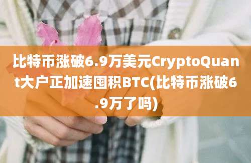 比特币涨破6.9万美元CryptoQuant大户正加速囤积BTC(比特币涨破6.9万了吗)