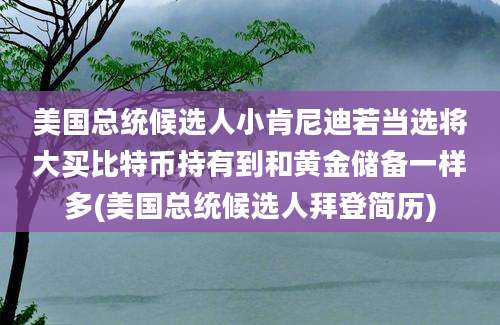 美国总统候选人小肯尼迪若当选将大买比特币持有到和黄金储备一样多(美国总统候选人拜登简历)