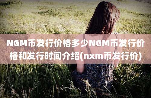 NGM币发行价格多少NGM币发行价格和发行时间介绍(nxm币发行价)