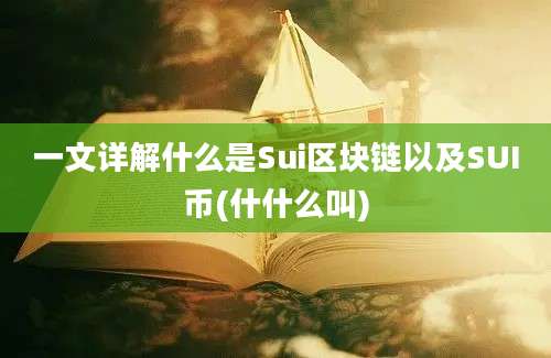 一文详解什么是Sui区块链以及SUI币(什什么叫)