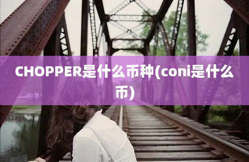 CHOPPER是什么币种(coni是什么币)