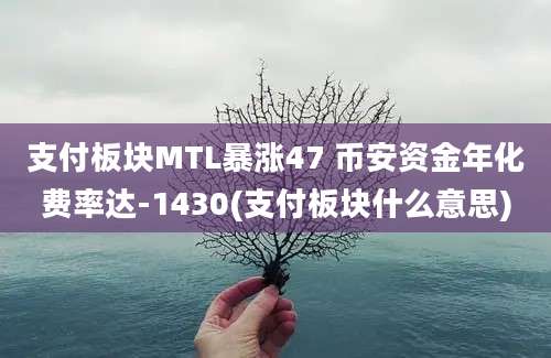 支付板块MTL暴涨47 币安资金年化费率达-1430(支付板块什么意思)