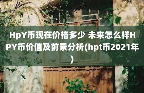 HpY币现在价格多少 未来怎么样HPY币价值及前景分析(hpt币2021年)