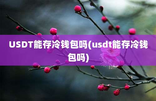 USDT能存冷钱包吗(usdt能存冷钱包吗)