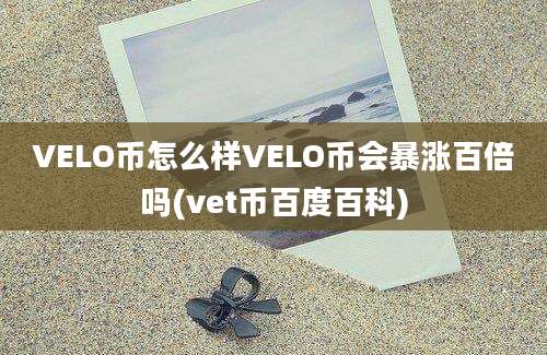 VELO币怎么样VELO币会暴涨百倍吗(vet币百度百科)