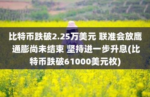 比特币跌破2.25万美元 联准会放鹰 通膨尚未结束 坚持进一步升息(比特币跌破61000美元枚)