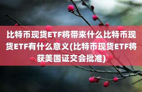 比特币现货ETF将带来什么比特币现货ETF有什么意义(比特币现货ETF将获美国证交会批准)