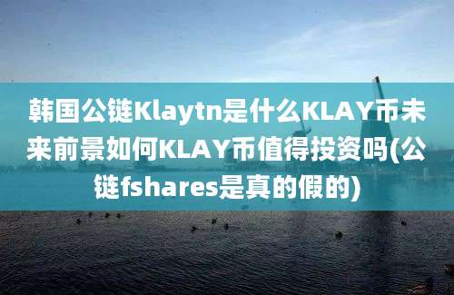 韩国公链Klaytn是什么KLAY币未来前景如何KLAY币值得投资吗(公链fshares是真的假的)