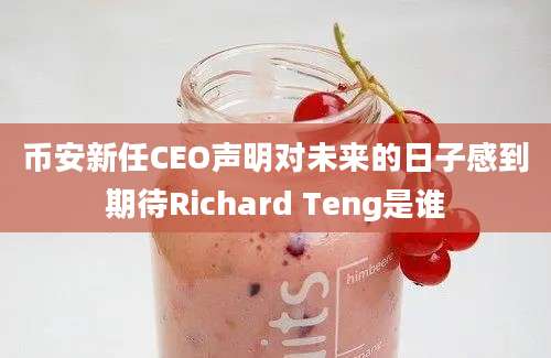 币安新任CEO声明对未来的日子感到期待Richard Teng是谁