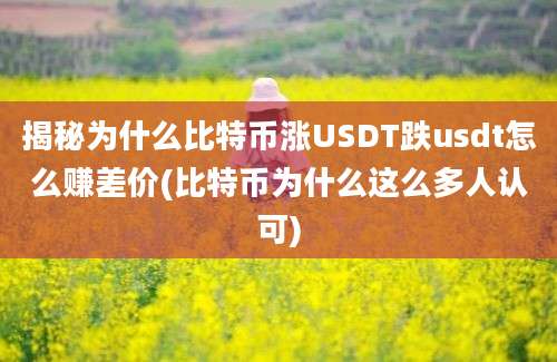 揭秘为什么比特币涨USDT跌usdt怎么赚差价(比特币为什么这么多人认可)