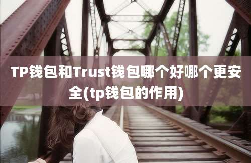 TP钱包和Trust钱包哪个好哪个更安全(tp钱包的作用)