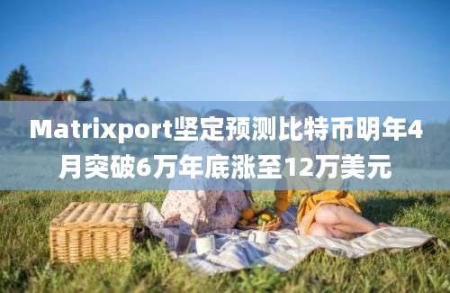 Matrixport坚定预测比特币明年4月突破6万年底涨至12万美元