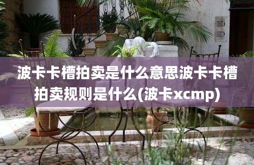 波卡卡槽拍卖是什么意思波卡卡槽拍卖规则是什么(波卡xcmp)