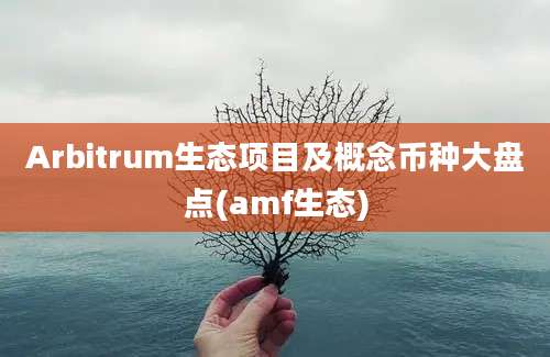 Arbitrum生态项目及概念币种大盘点(amf生态)