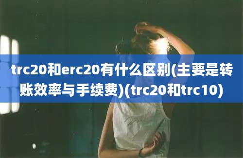 trc20和erc20有什么区别(主要是转账效率与手续费)(trc20和trc10)