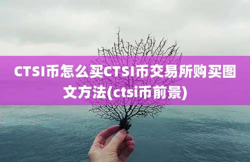 CTSI币怎么买CTSI币交易所购买图文方法(ctsi币前景)