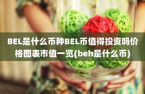 BEL是什么币种BEL币值得投资吗价格图表市值一览(beh是什么币)