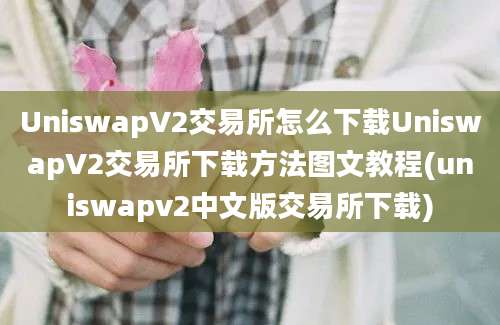 UniswapV2交易所怎么下载UniswapV2交易所下载方法图文教程(uniswapv2中文版交易所下载)