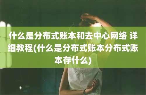 什么是分布式账本和去中心网络 详细教程(什么是分布式账本分布式账本存什么)