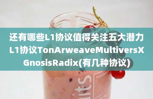 还有哪些L1协议值得关注五大潜力L1协议TonArweaveMultiversXGnosisRadix(有几种协议)