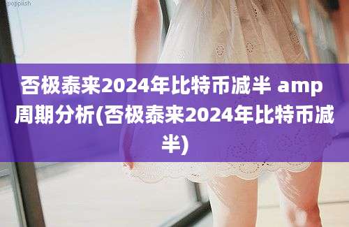 否极泰来2024年比特币减半 amp 周期分析(否极泰来2024年比特币减半)